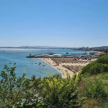 Sun Coast * Szveti Vlasz